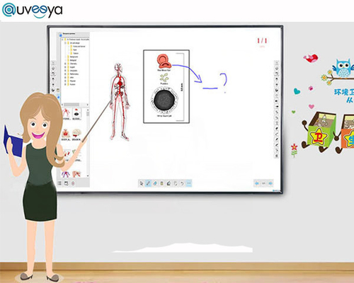 Auveeya SKD Infrared Interactive Class Smart Board For Education